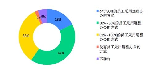 软件开发团队2020年度汽车租赁领域经营状况报告